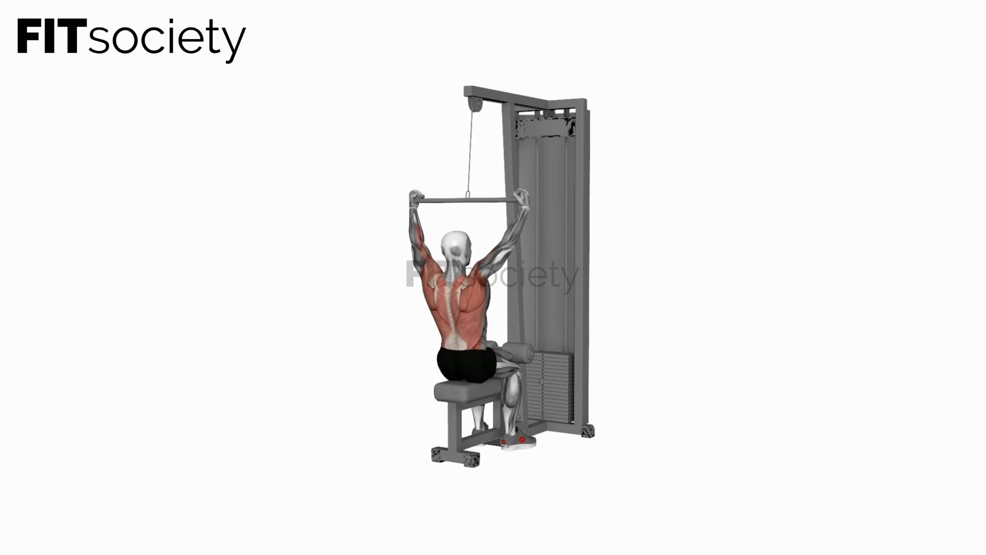 Cable Wide-Grip Pulldown