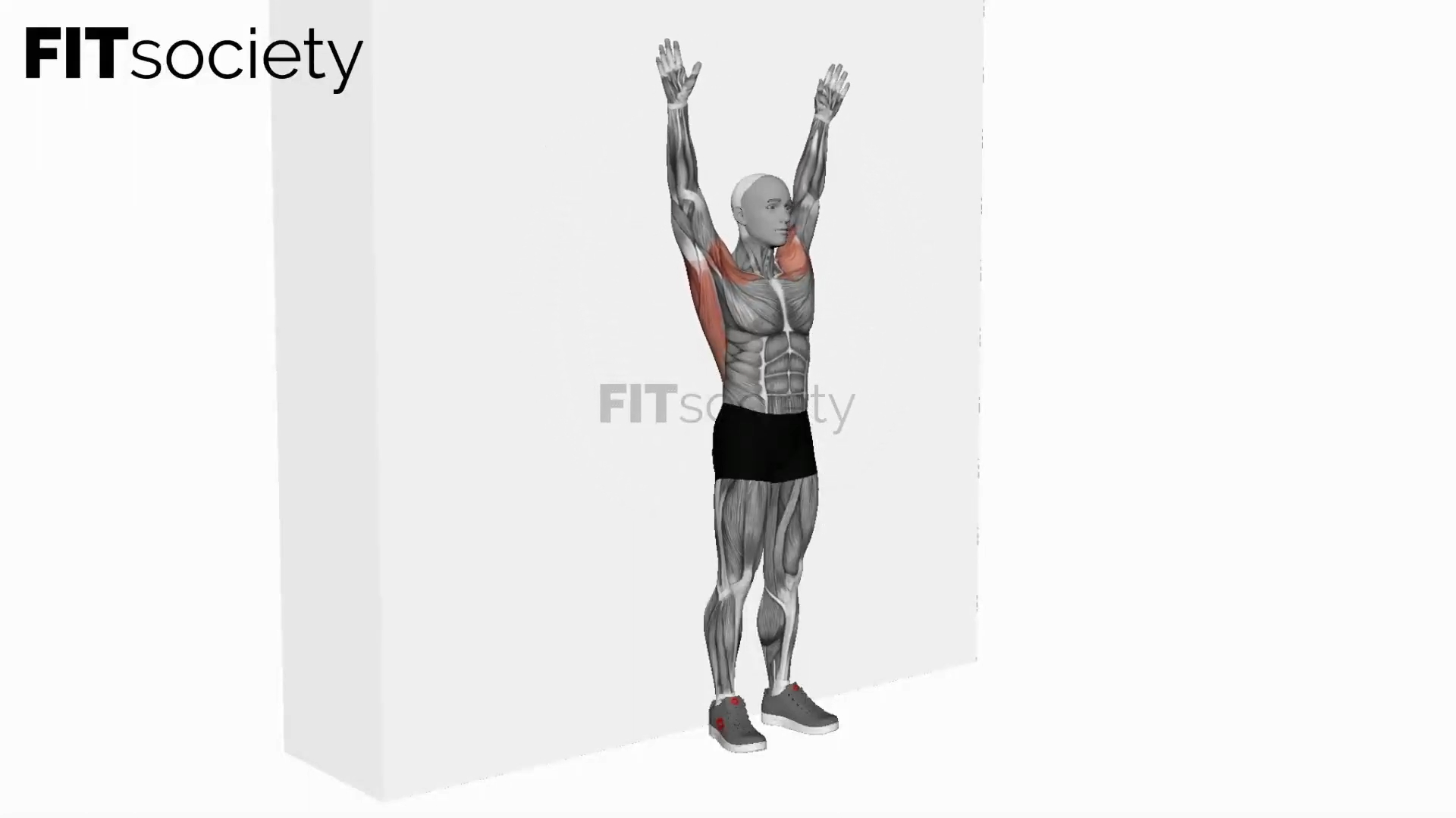 Bodyweight Standing Around the World Wall-Supported