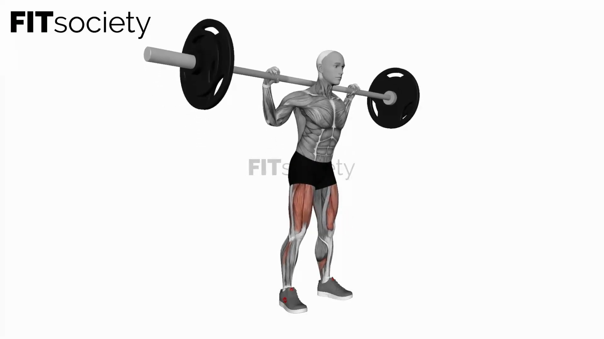 Barbell Quarter Squat
