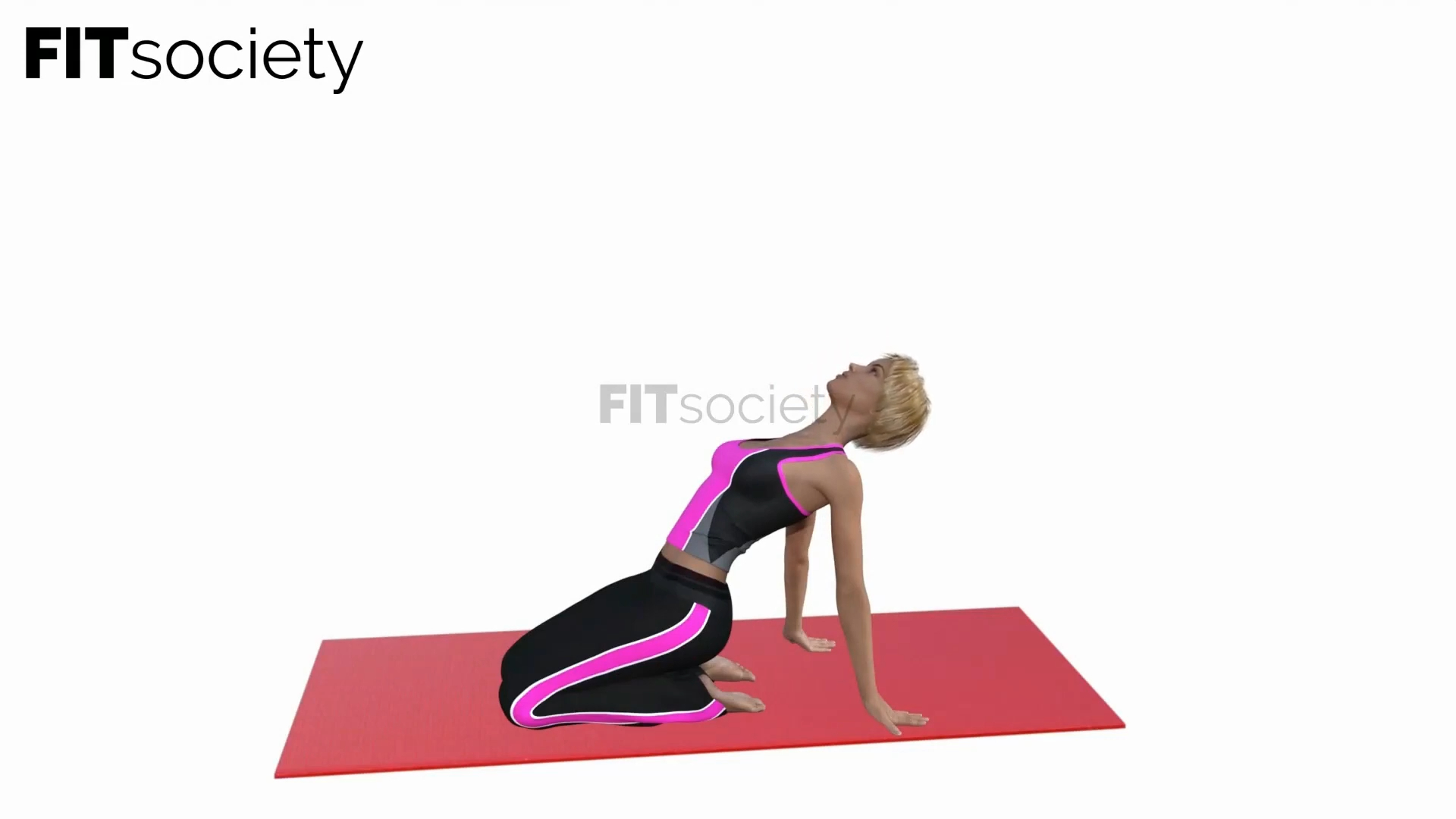 Seated Heart Opener