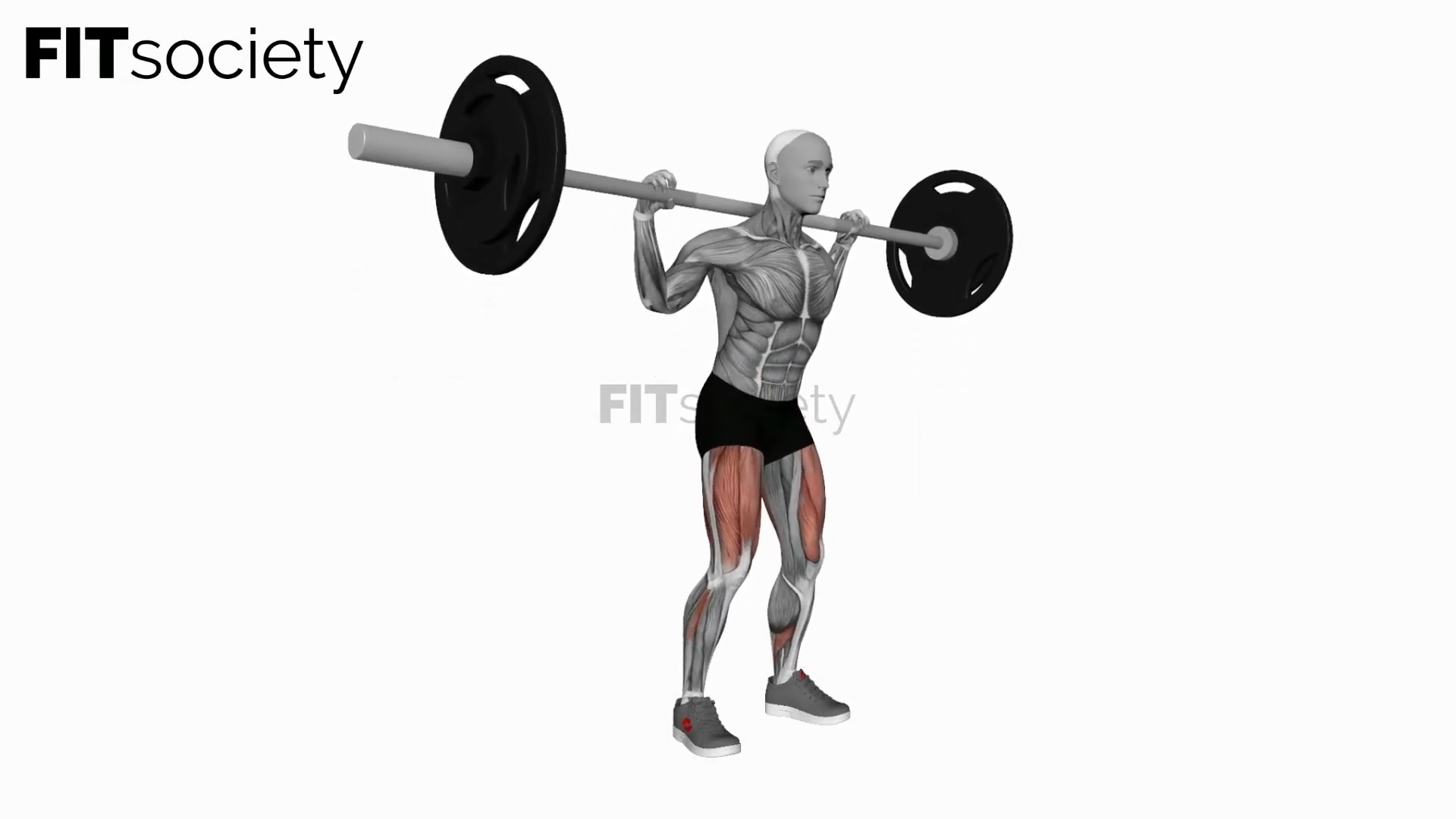 Barbell Low Bar Squat