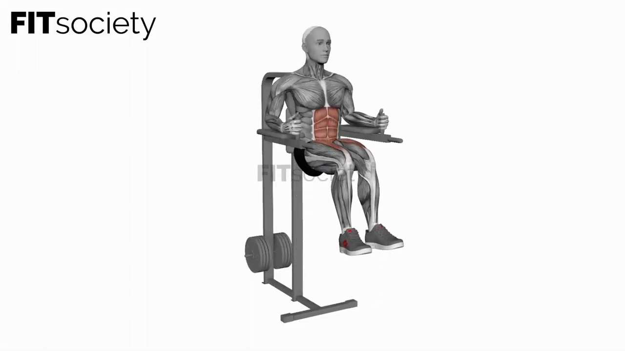 Captains Chair Leg Raise
