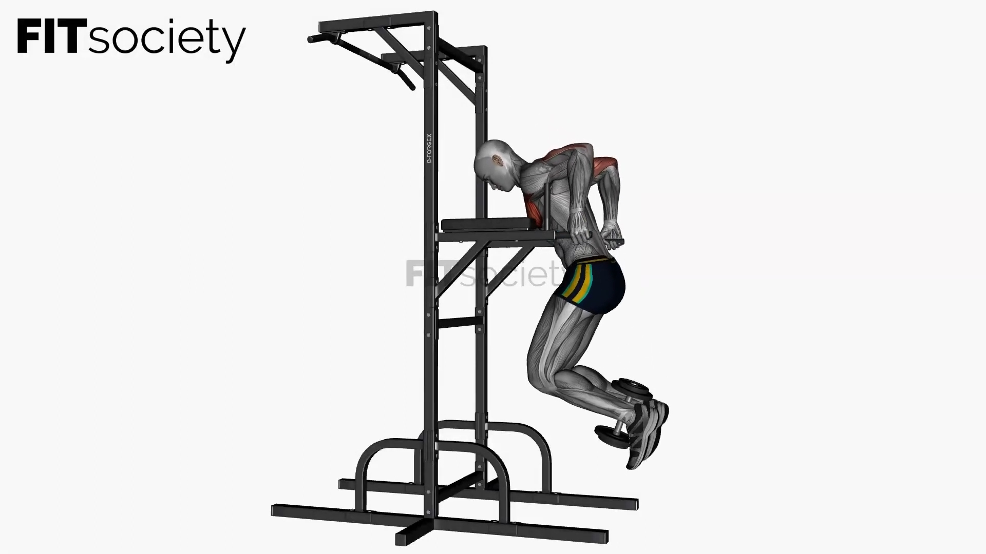 Weighted Slow Chest Dip