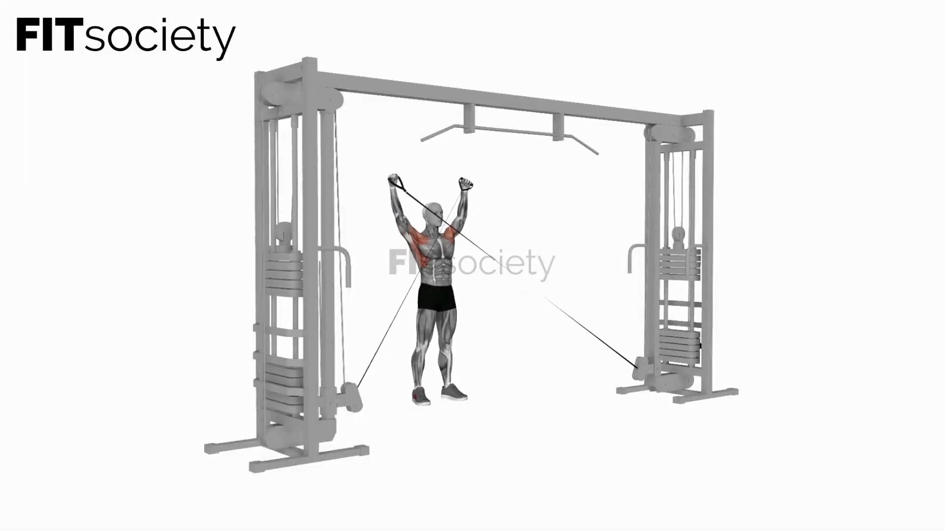 Cable Y Raise