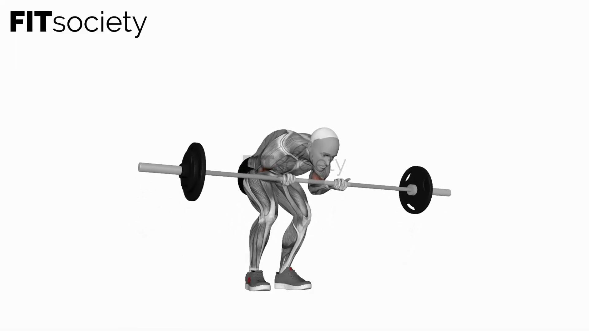 Barbell Standing Concentration Curl