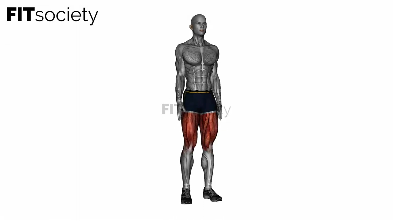 Standing Quadriceps Stretch