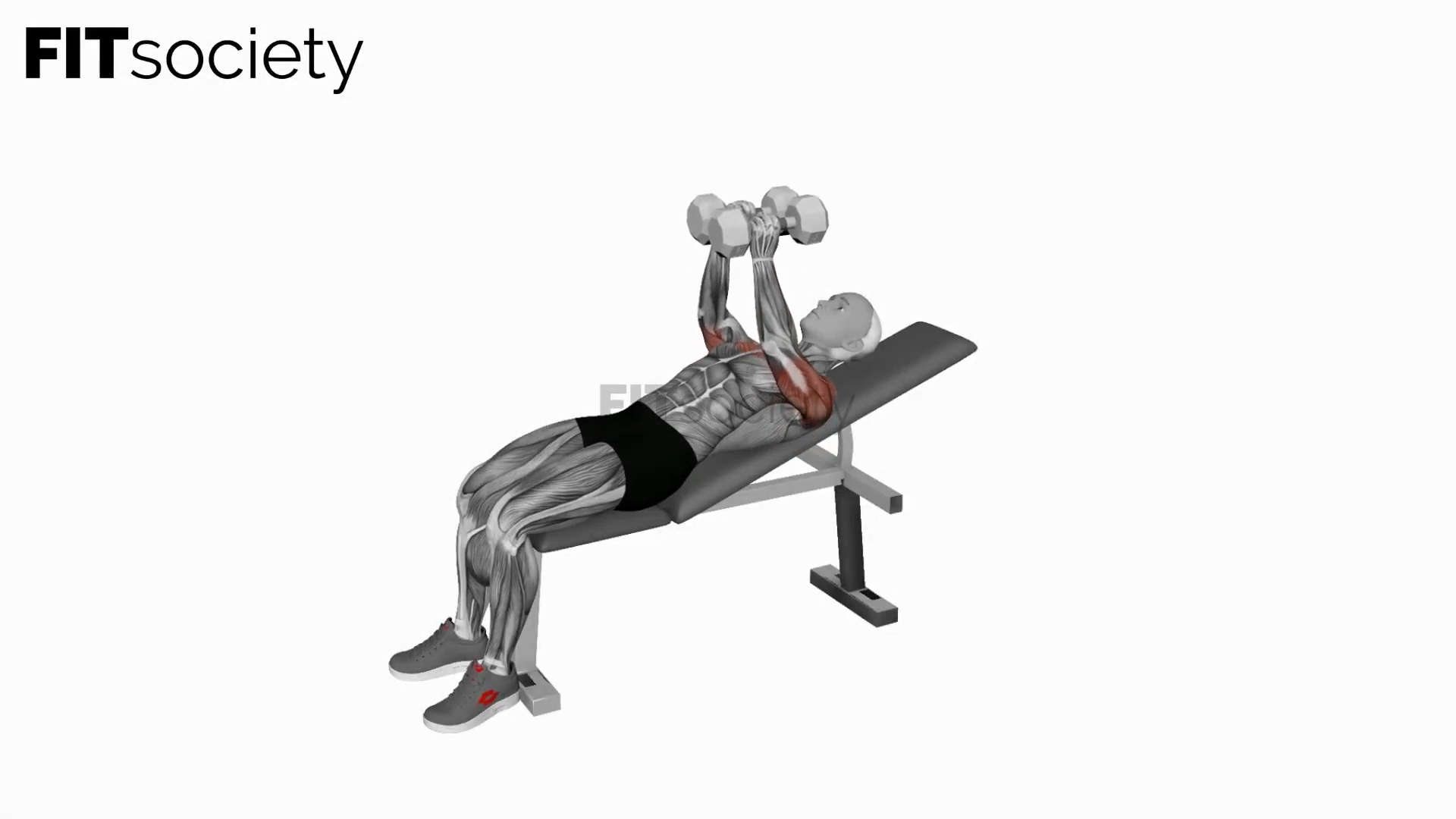 Dumbbell Incline Squeeze Press