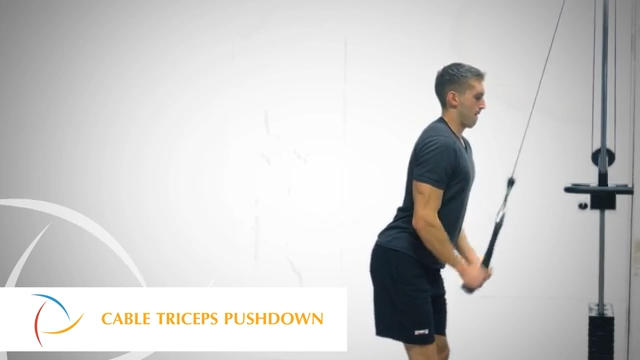 Cable Triceps Pushdown