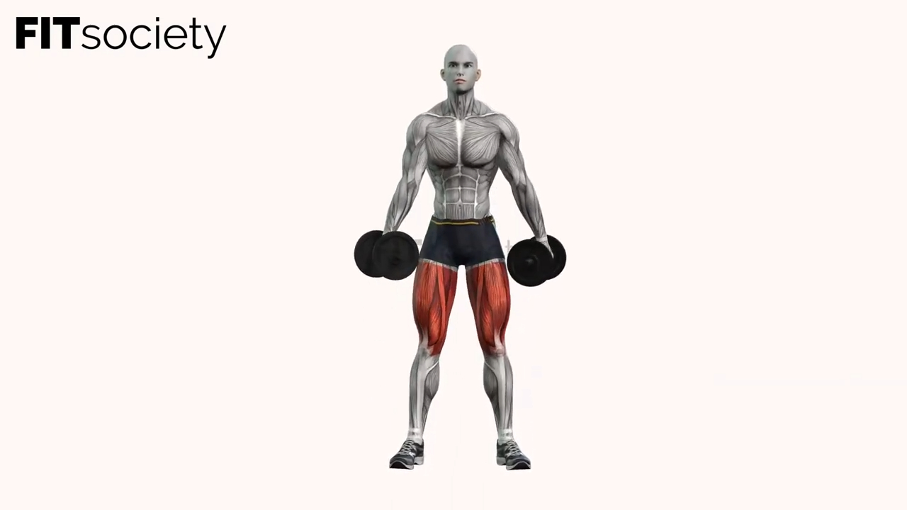 Dumbbell Goblet Squat