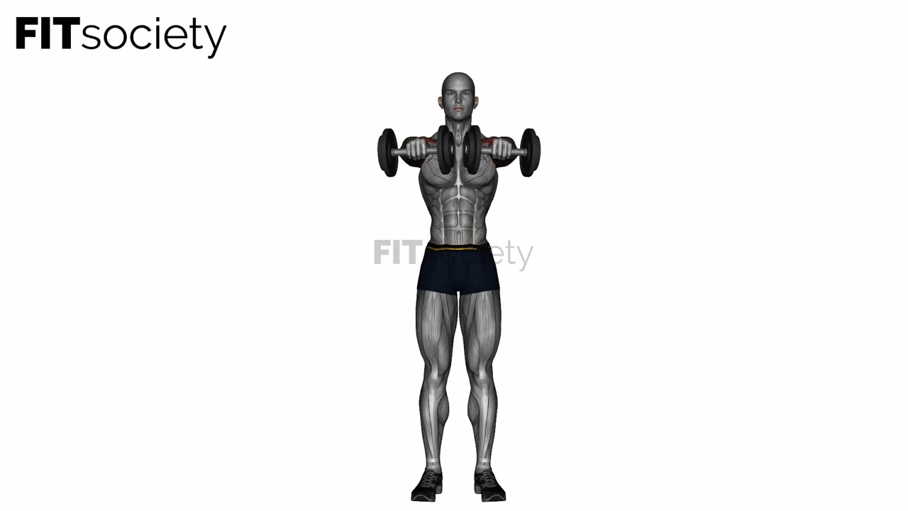 Standing Front Raise Dumbbell