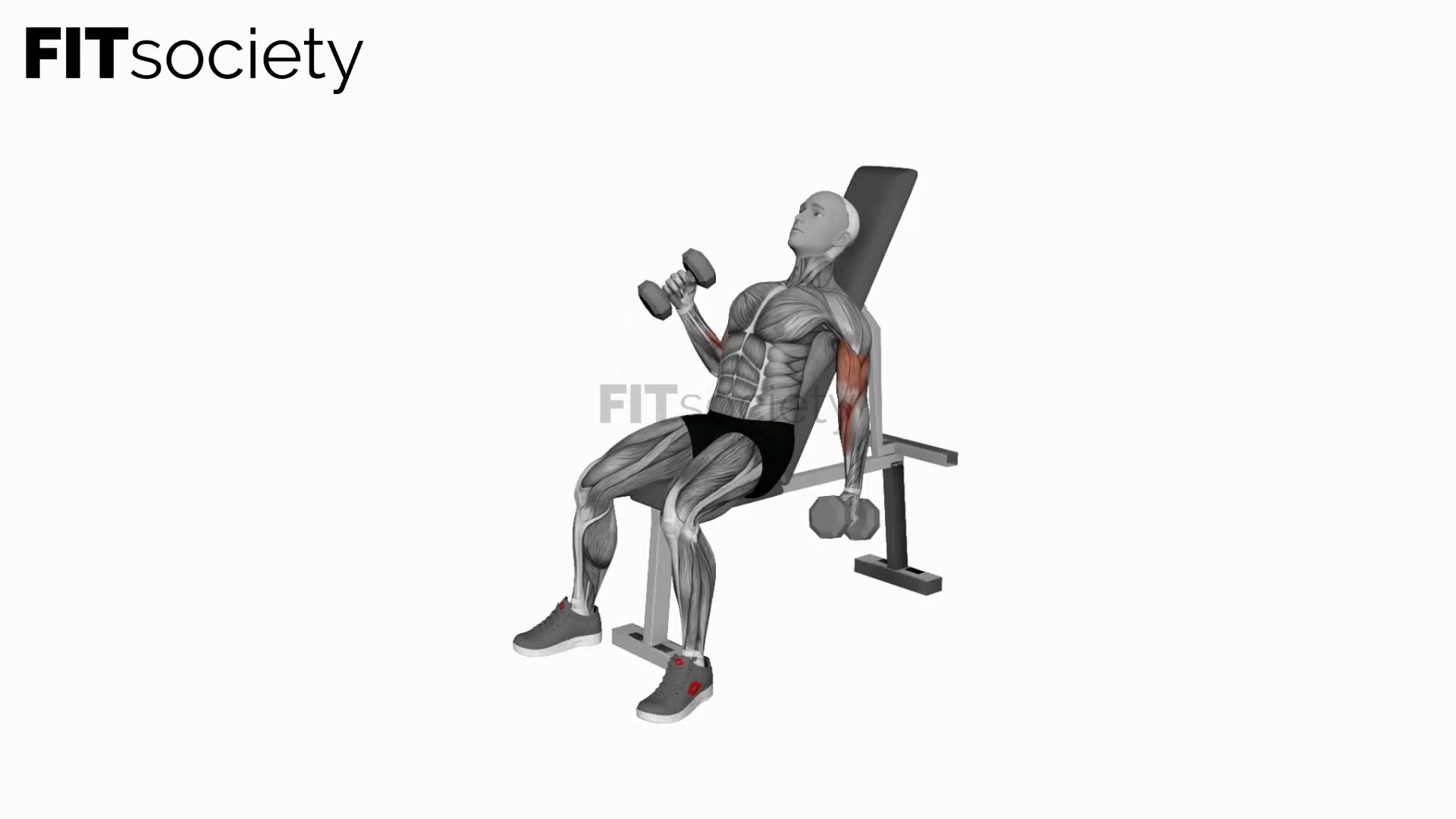 Dumbbell Incline Alternate Hammer Curl
