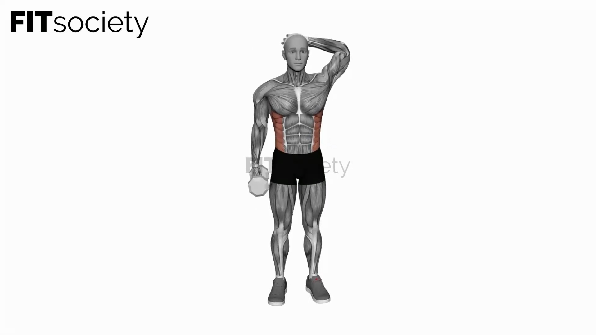 Dumbbell Side Bend