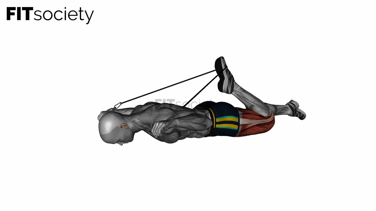 Intermediate Hip Flexor and Quad Stretch