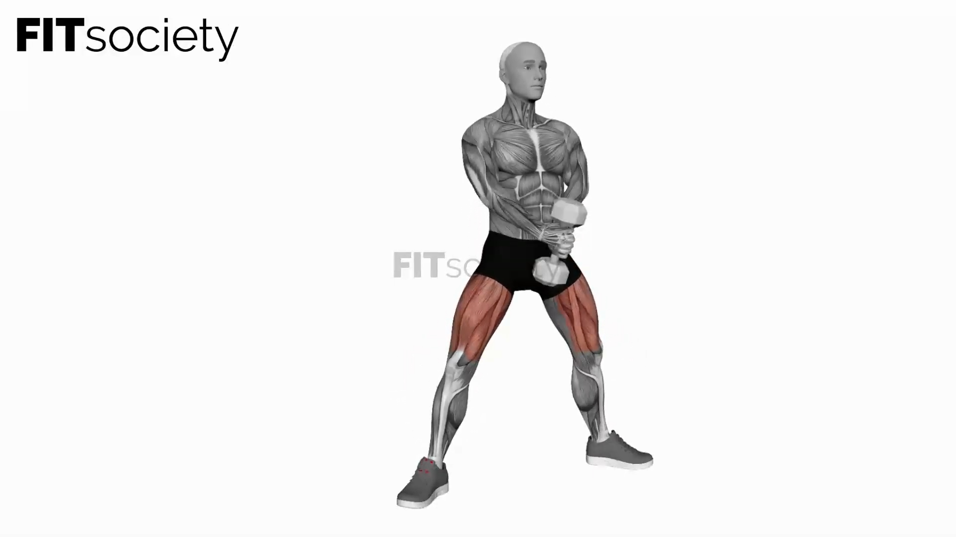 Dumbbell Plyo Squat