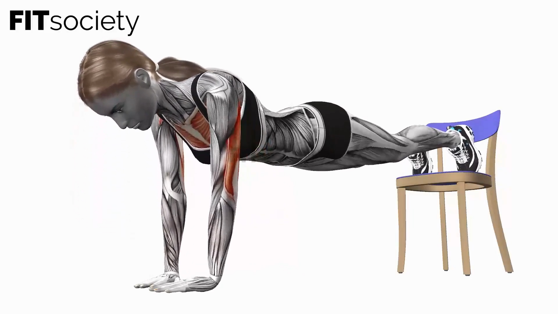 Decline Chair Push Up Diamond