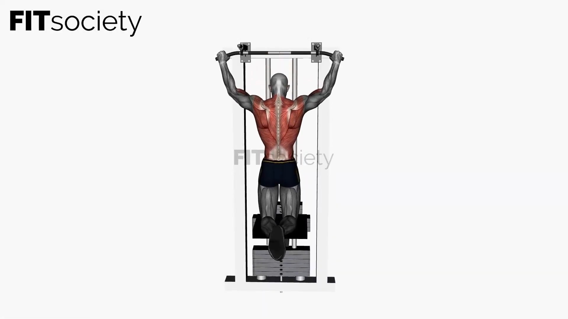 Assisted Pull-Up – Wide Grip