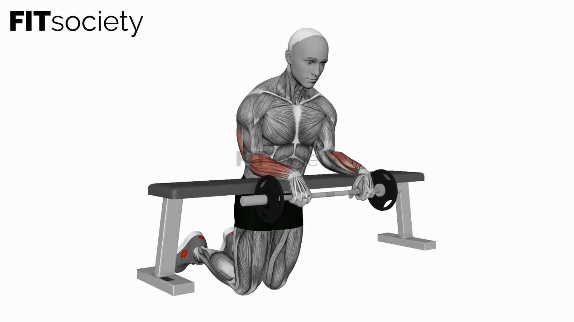 Wrist Extension Barbell