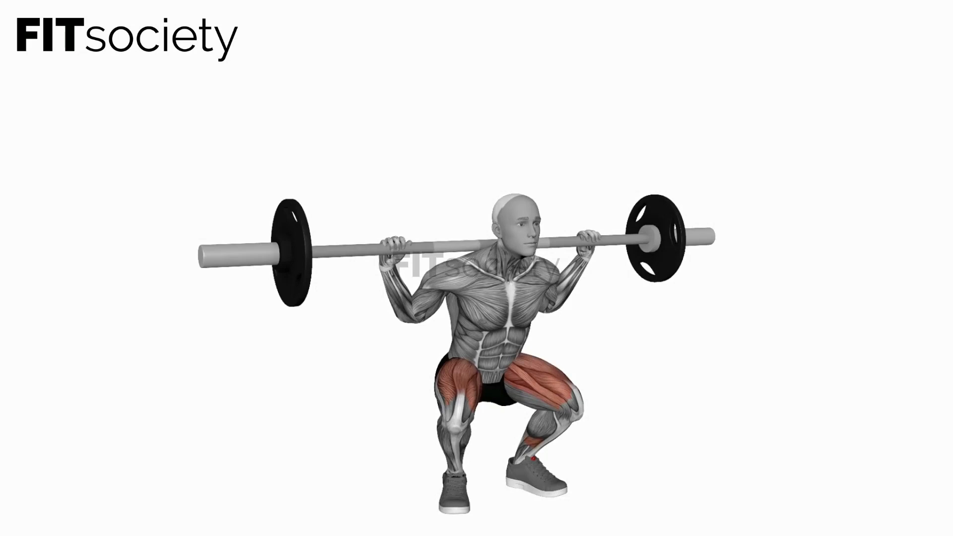 Barbell Squat With 2 Sec Hold