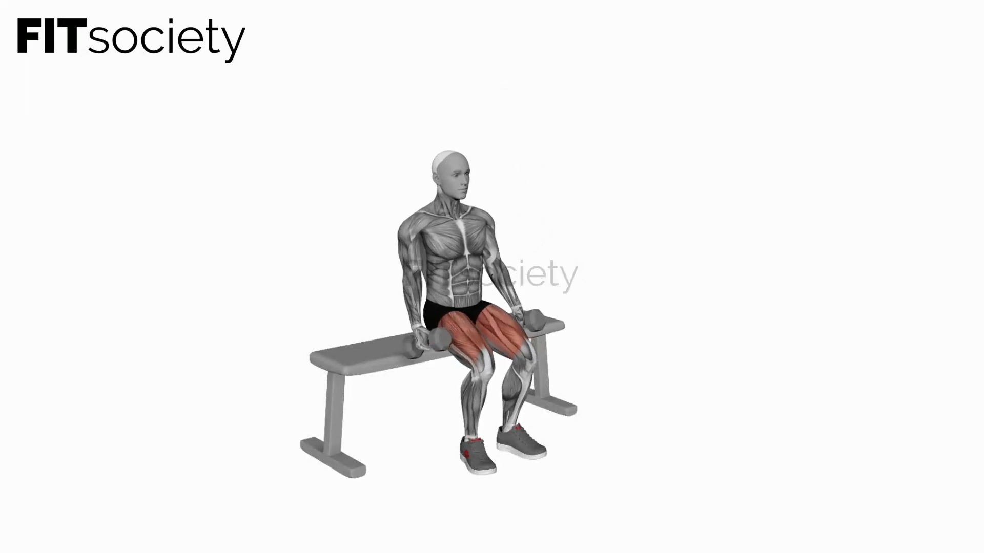 Dumbbell Bench Squat