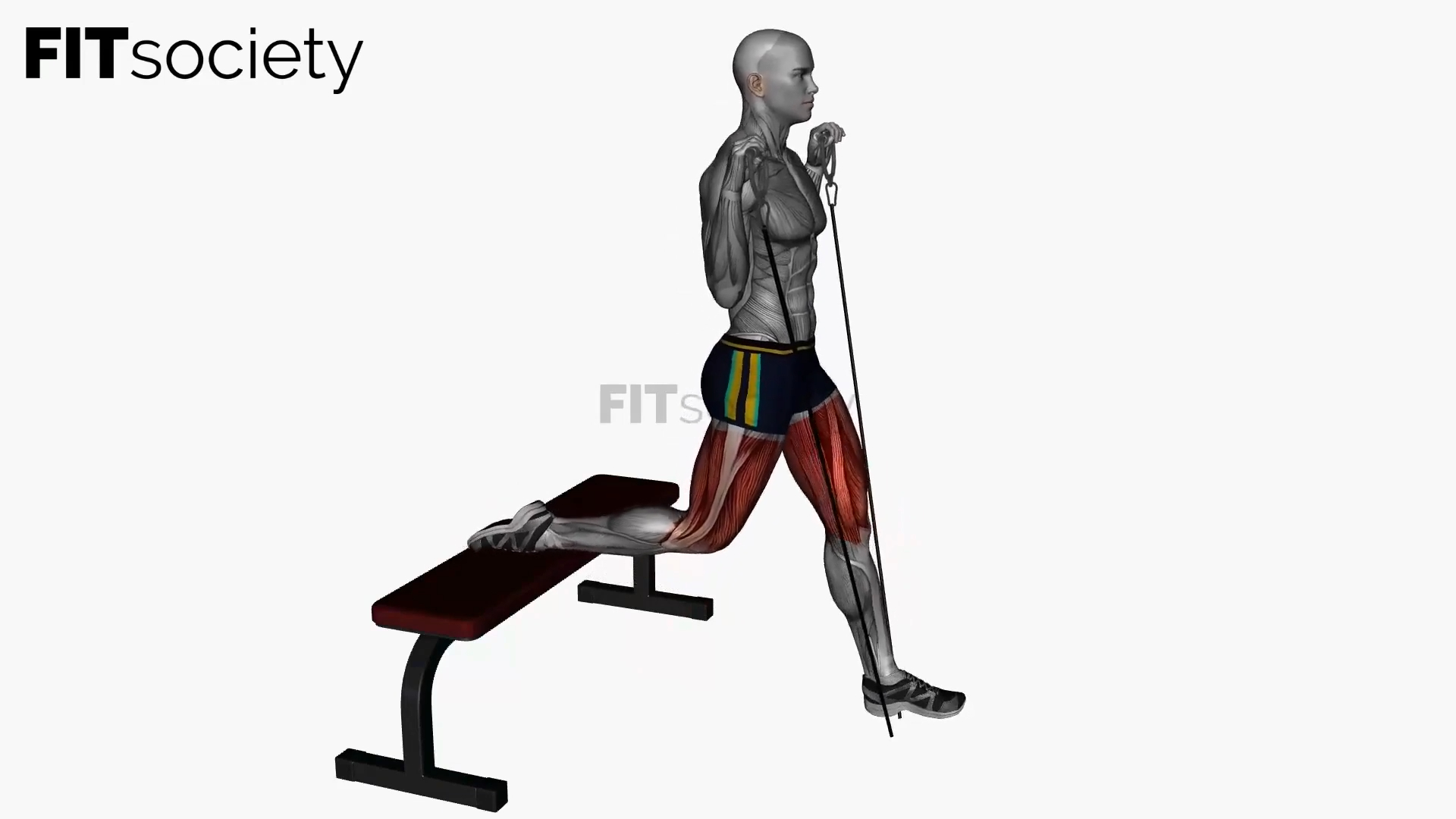 Bulgarian Split Squat with Cable Resistance Band
