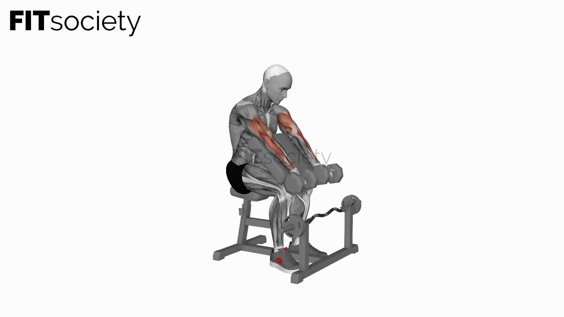 Dumbbell Seated Preacher Curl