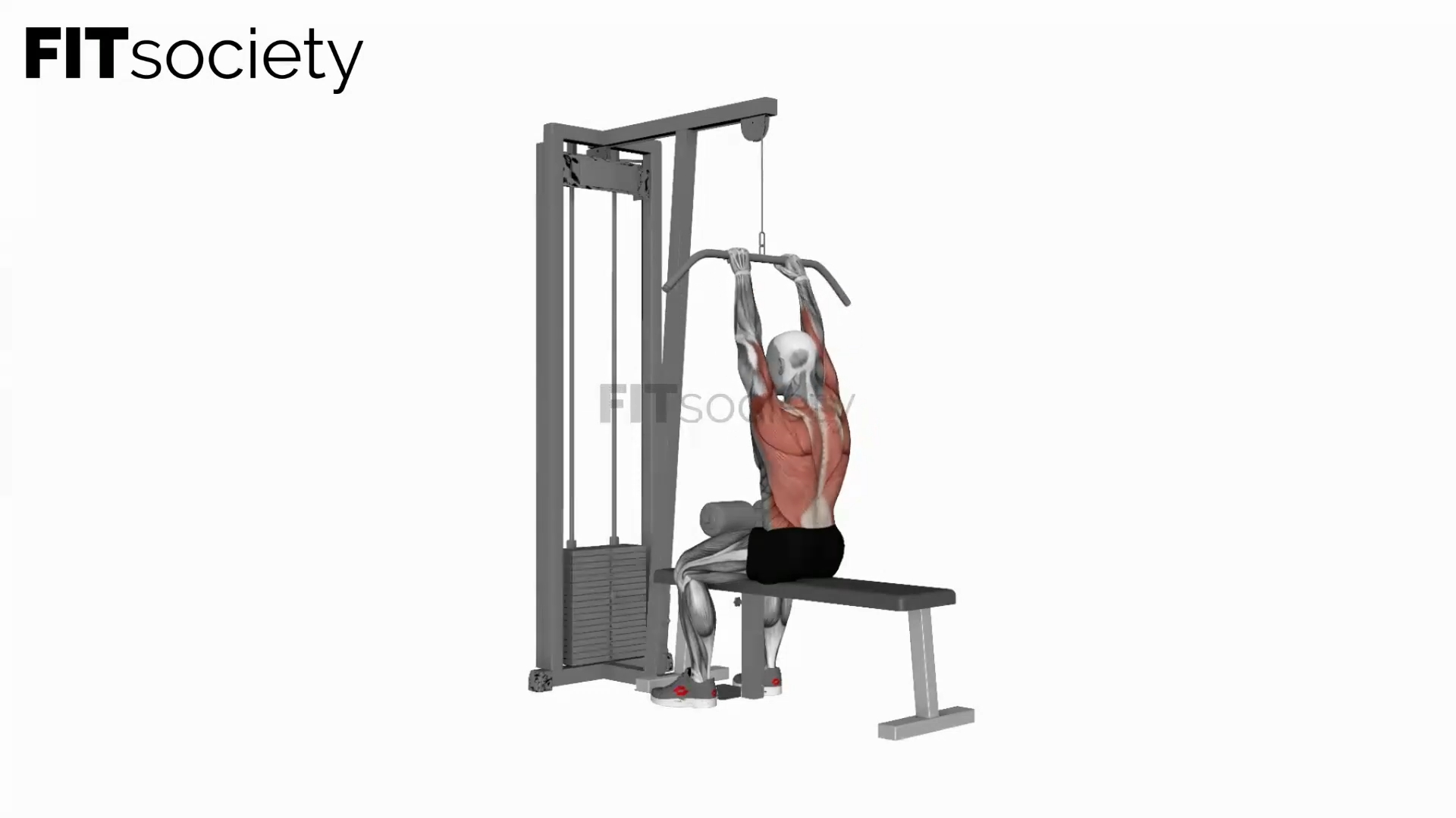 Cable Close-Grip Front Lat Pulldown