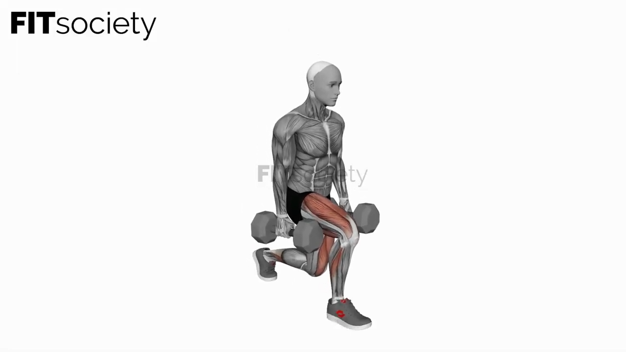 Dumbbell Split Squat