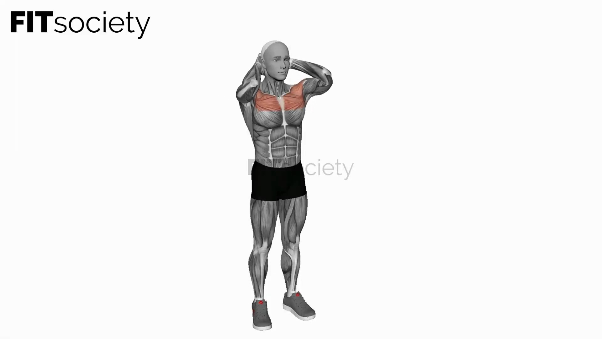 Bodyweight Standing Triangle Fly