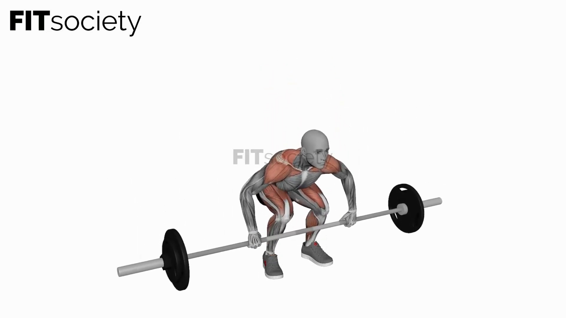 Barbell Power Clean