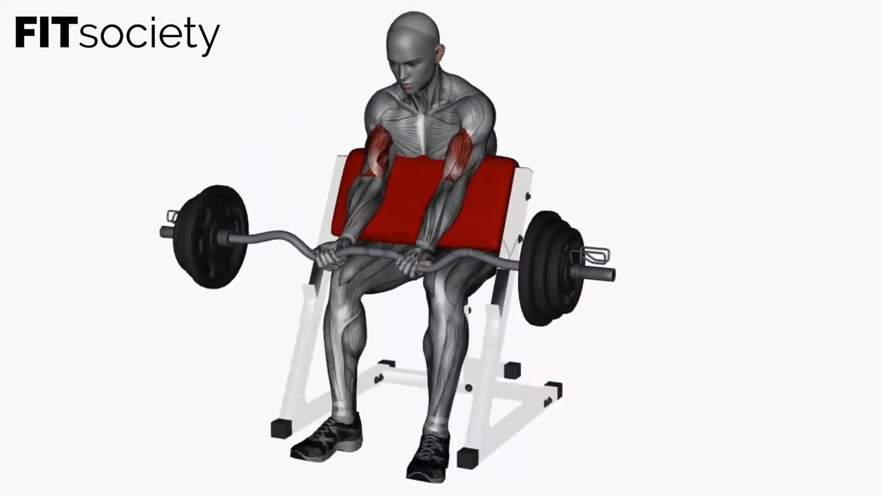 Preacher Curl Ez Bar Close Grip