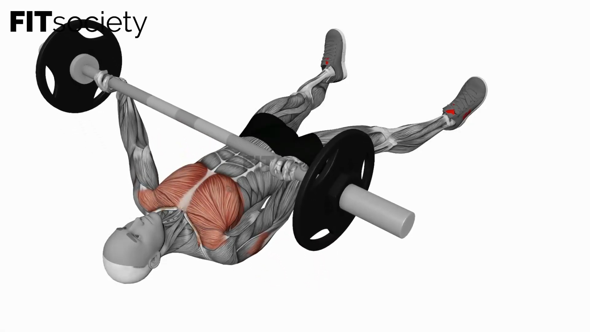 Barbell Floor Chest Press