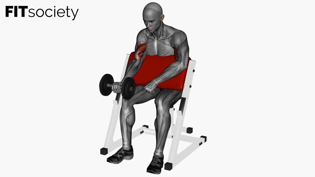 Curl predicador unilateral con mancuerna
