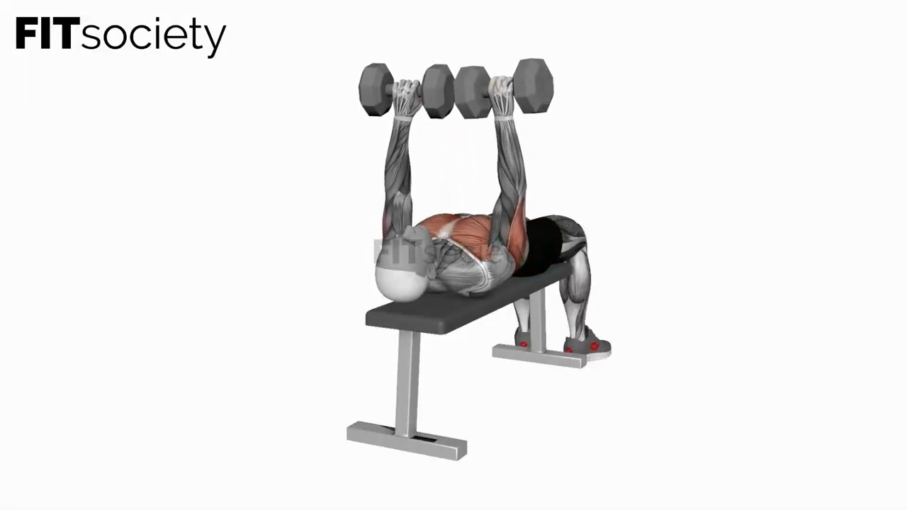 Dumbbell Tate Press