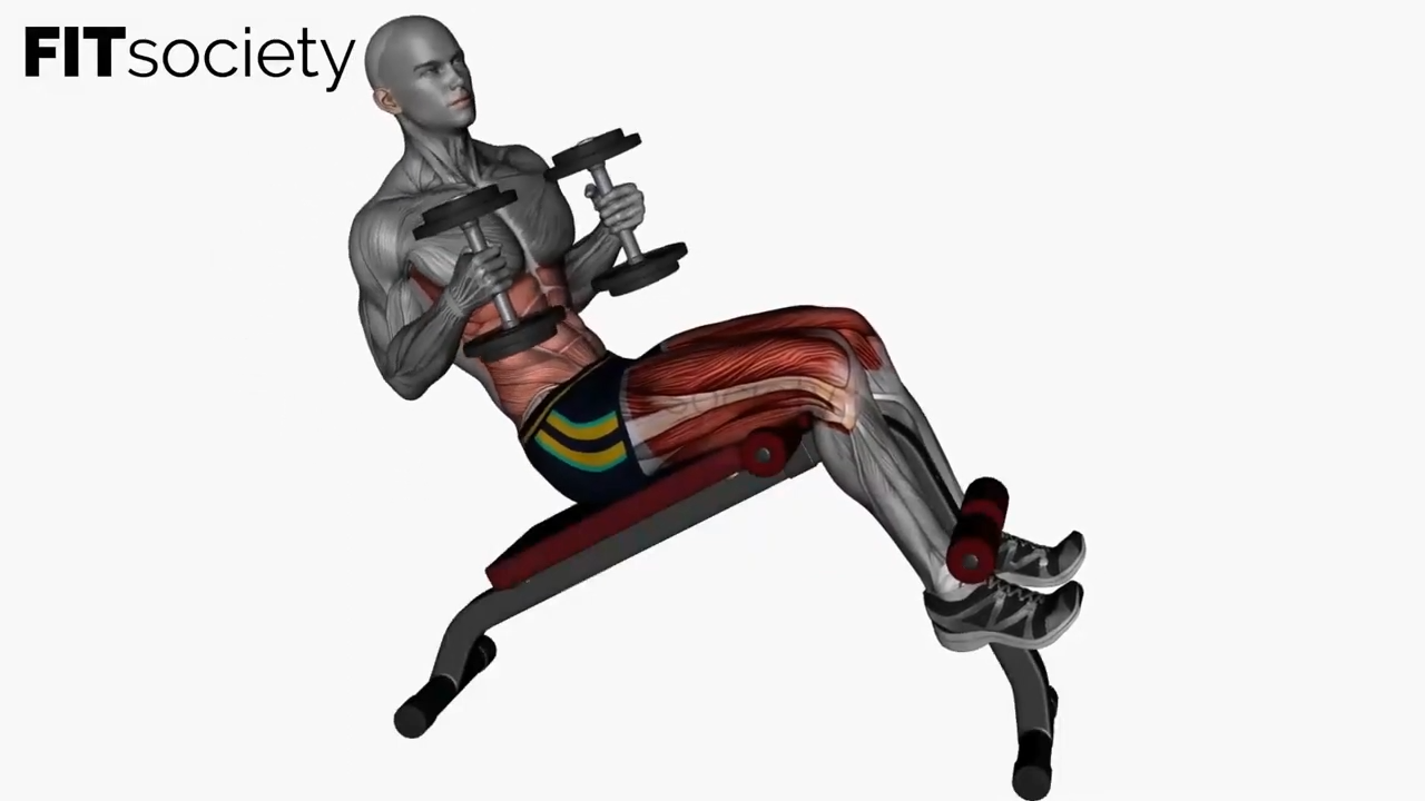 Decline Bench Oblique Crunches Dumbbells