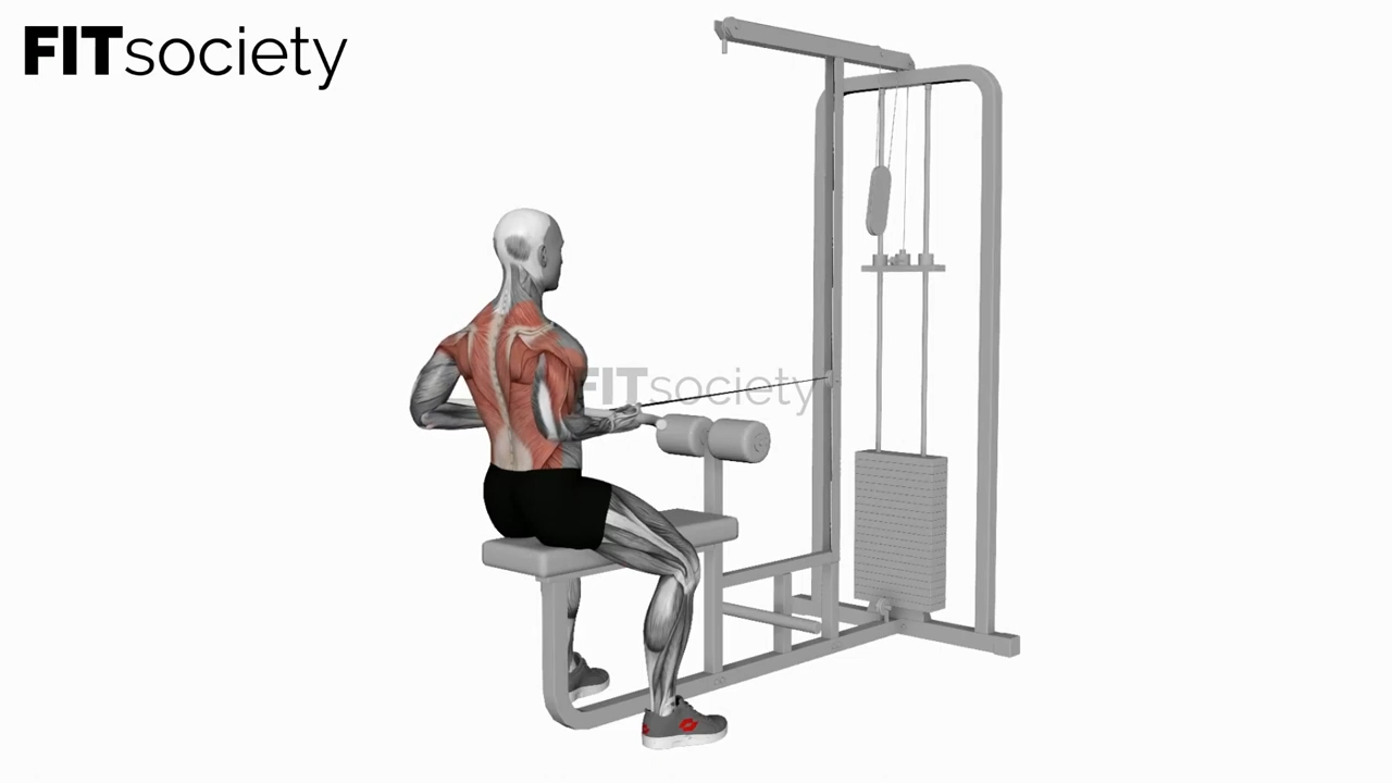 Cable Seated Supine-Grip Row