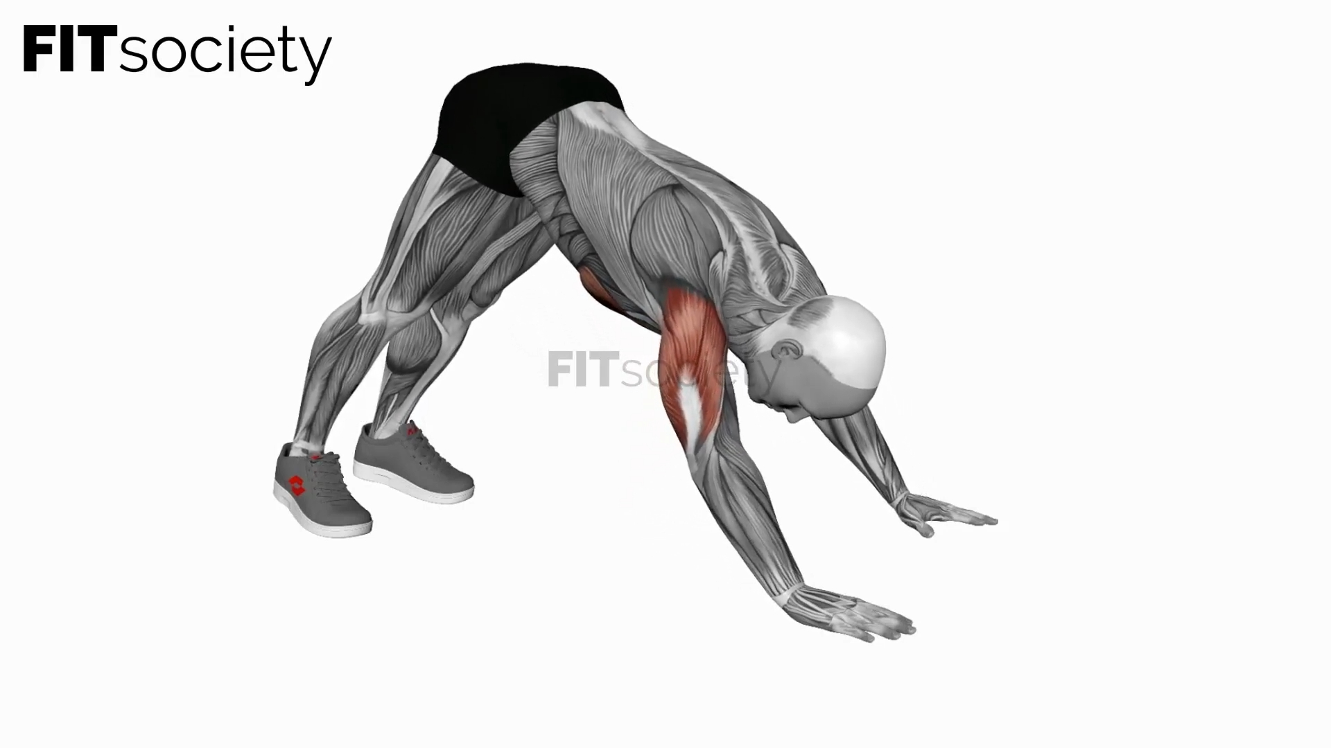 Pike Push Up