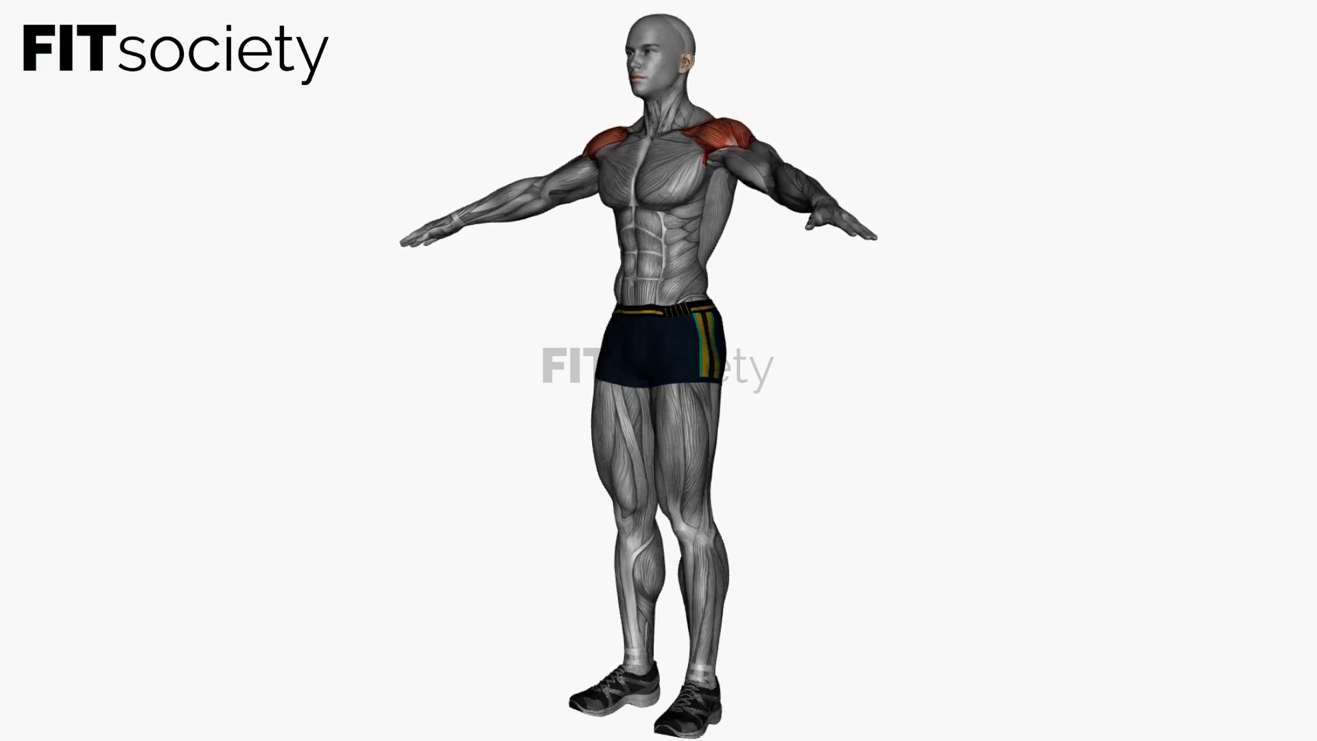 Arm Circle