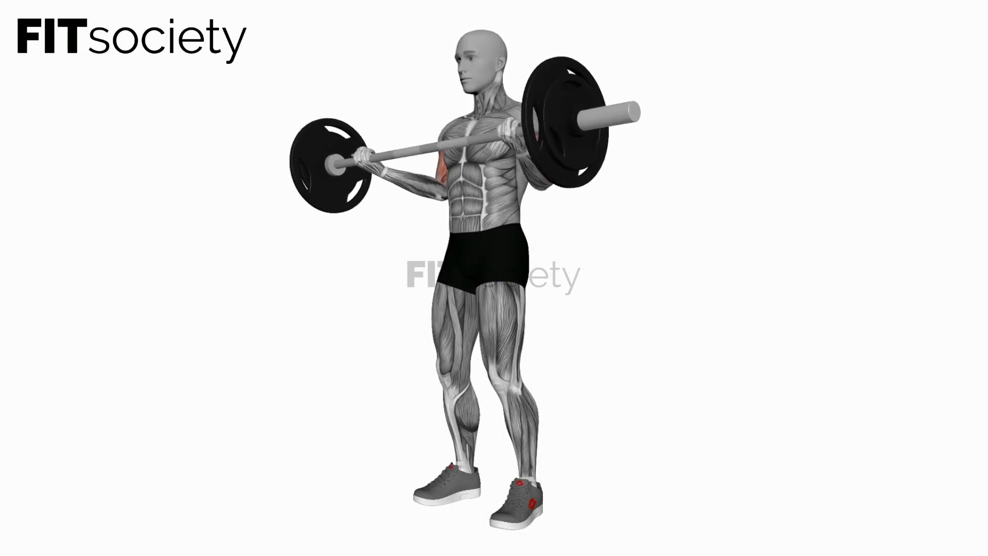 Barbell Wide-Grip Biceps Curl