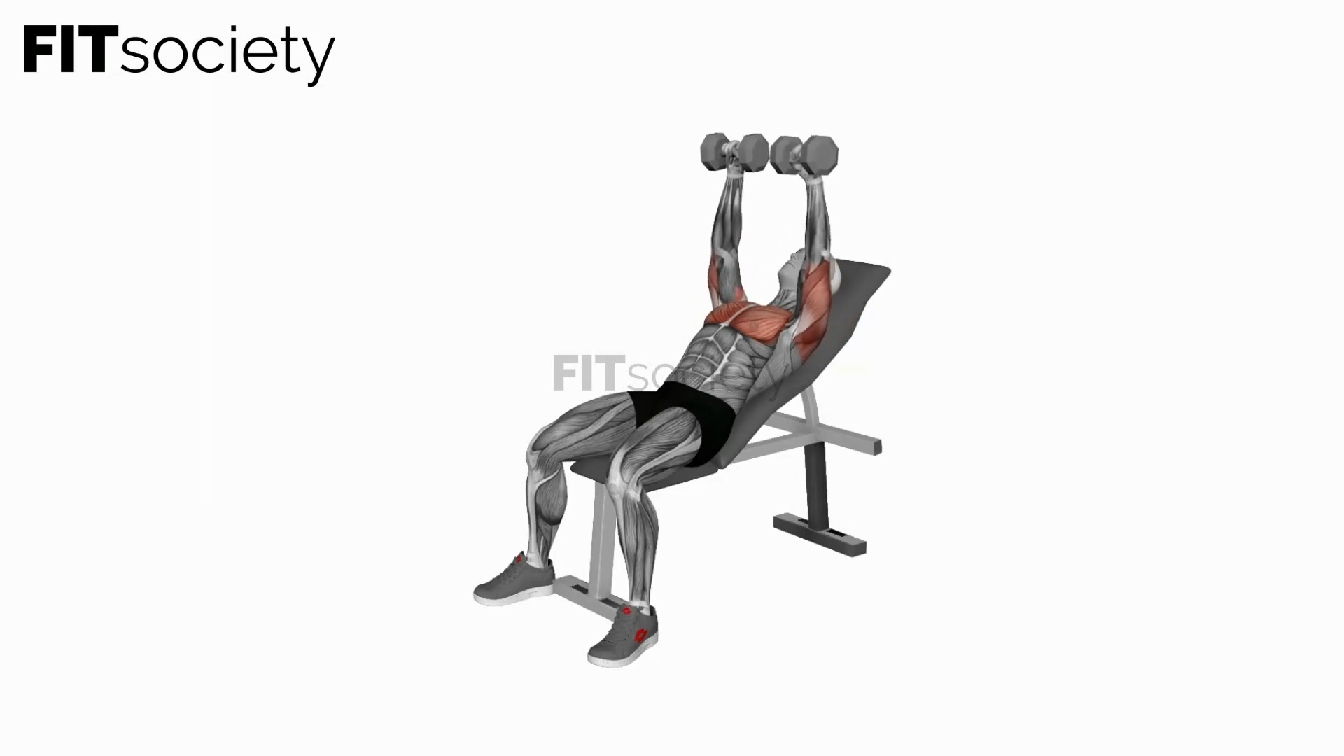 Dumbbell Incline Bench Press