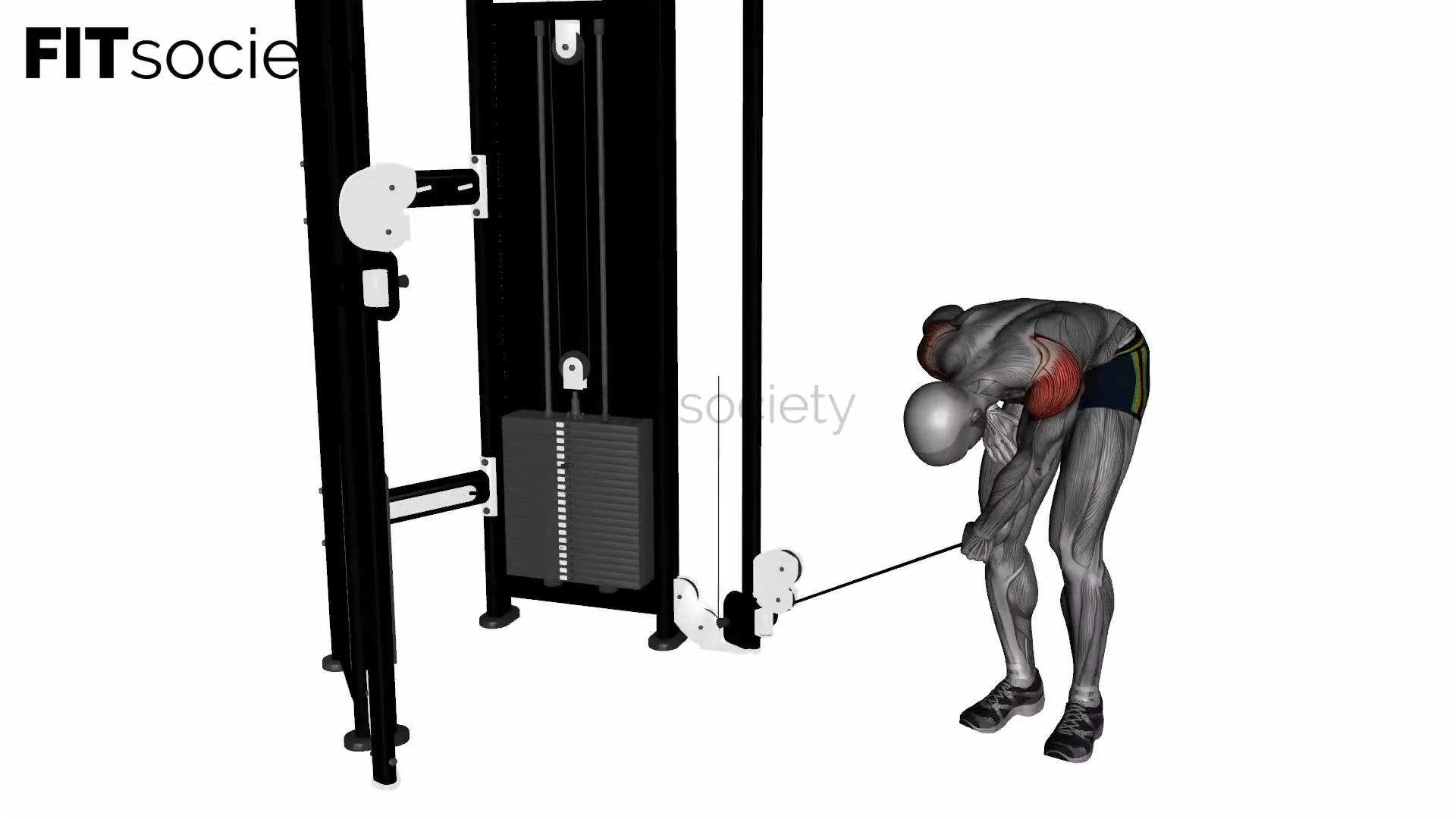 Single-Arm Cable Bent-Over Lateral Raise