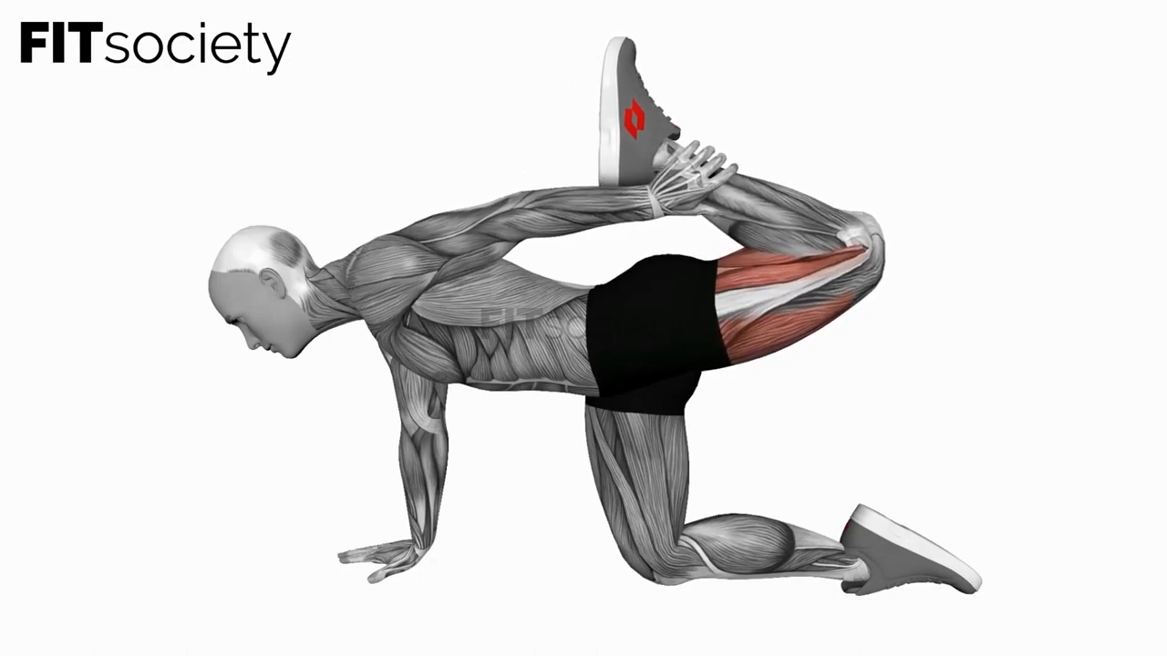 All Fours Quad Stretch