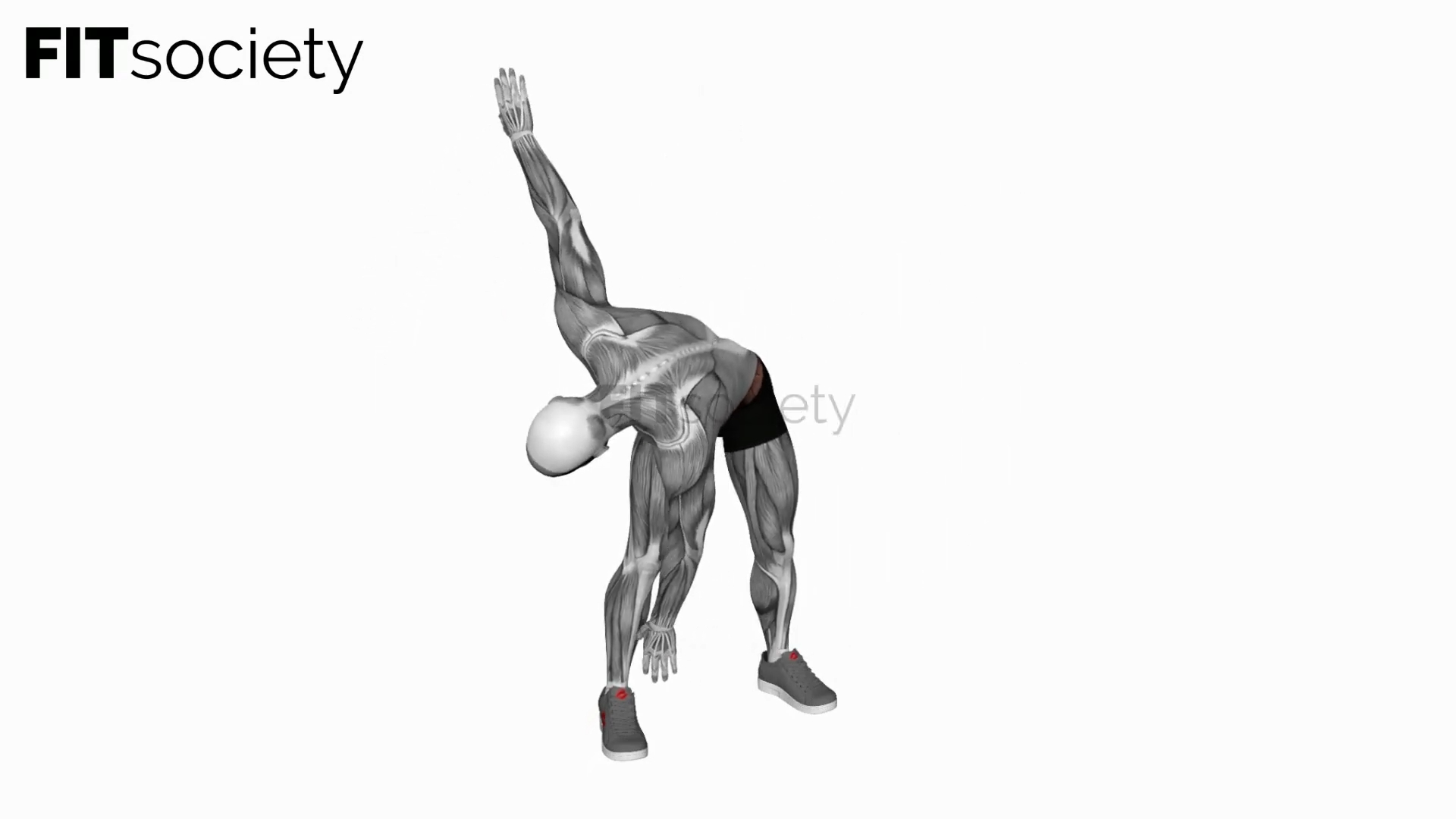 Bodyweight Windmill