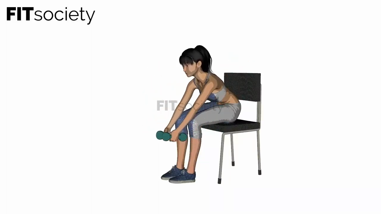 Seated Lateral Raises