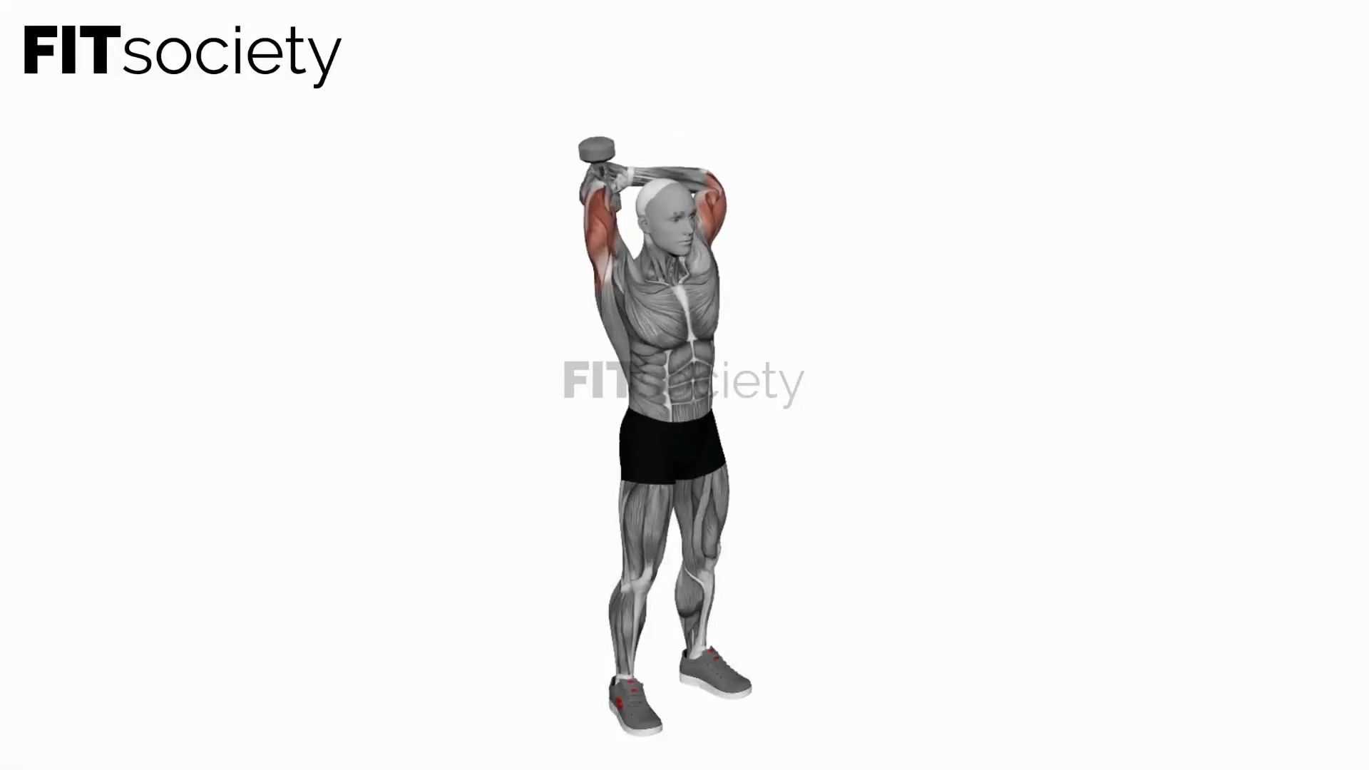 Dumbbell Standing Triceps Extension