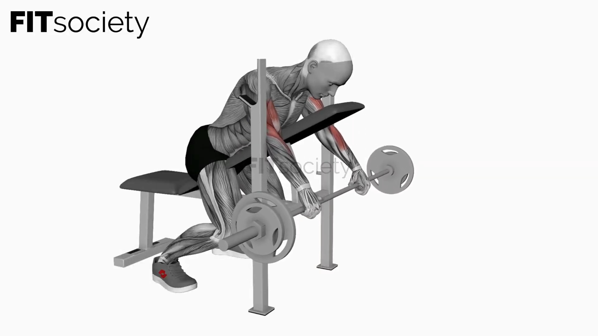 Barbell Reverse Spider Curl