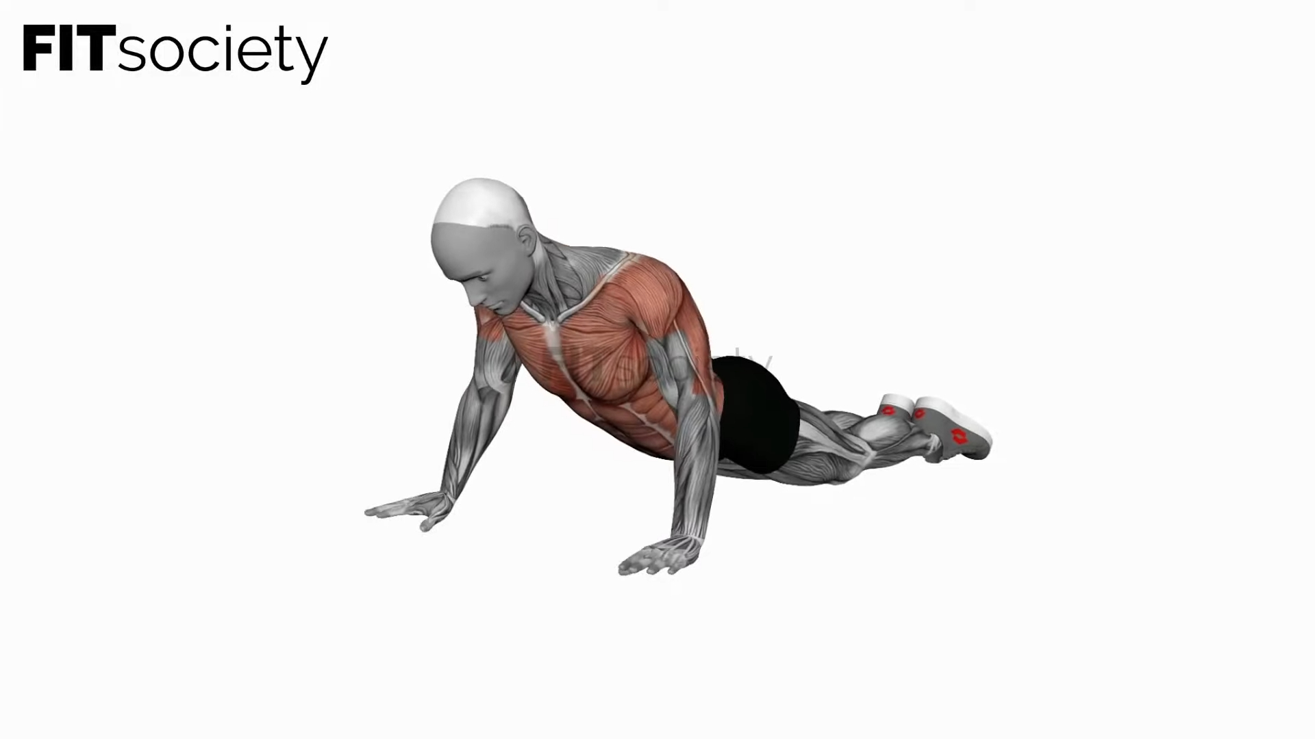 Bodyweight Kneeling Push-Up Row
