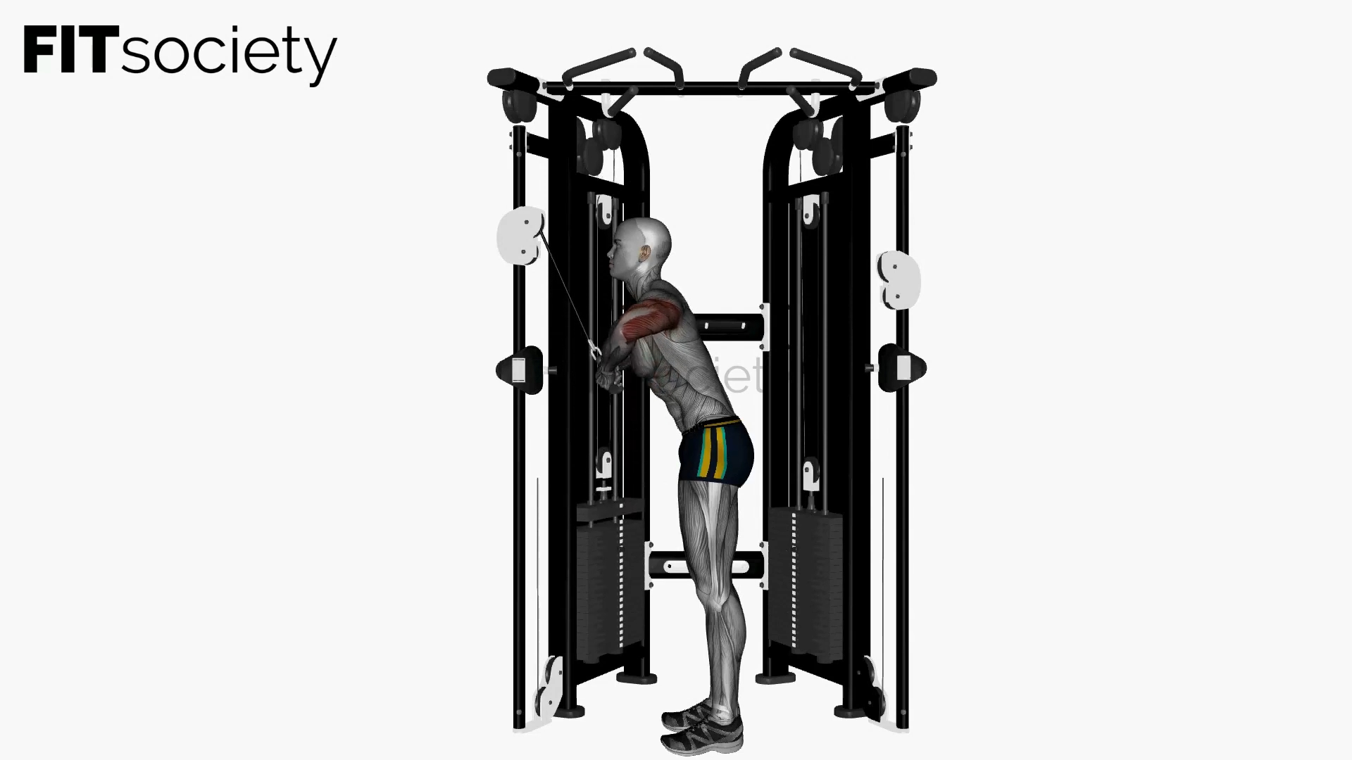 Cable Triceps Pushdown Elbows Out (V-Bar)