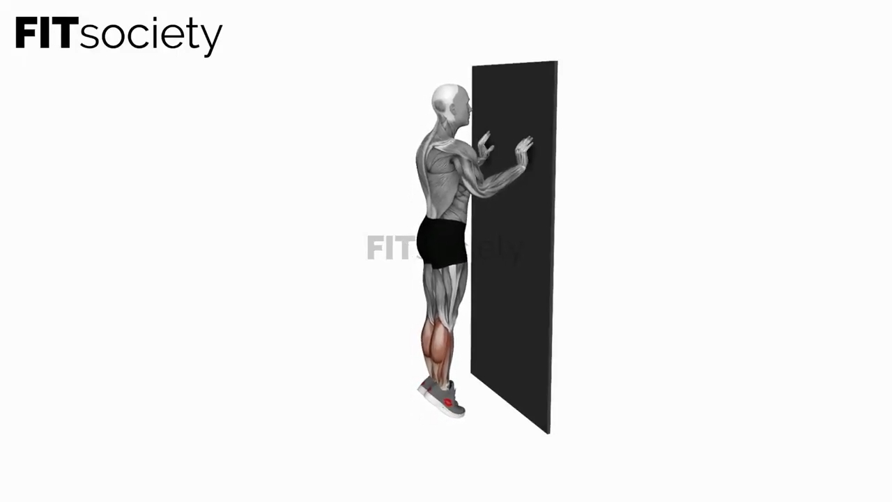 Calf Raise With Wall Support
