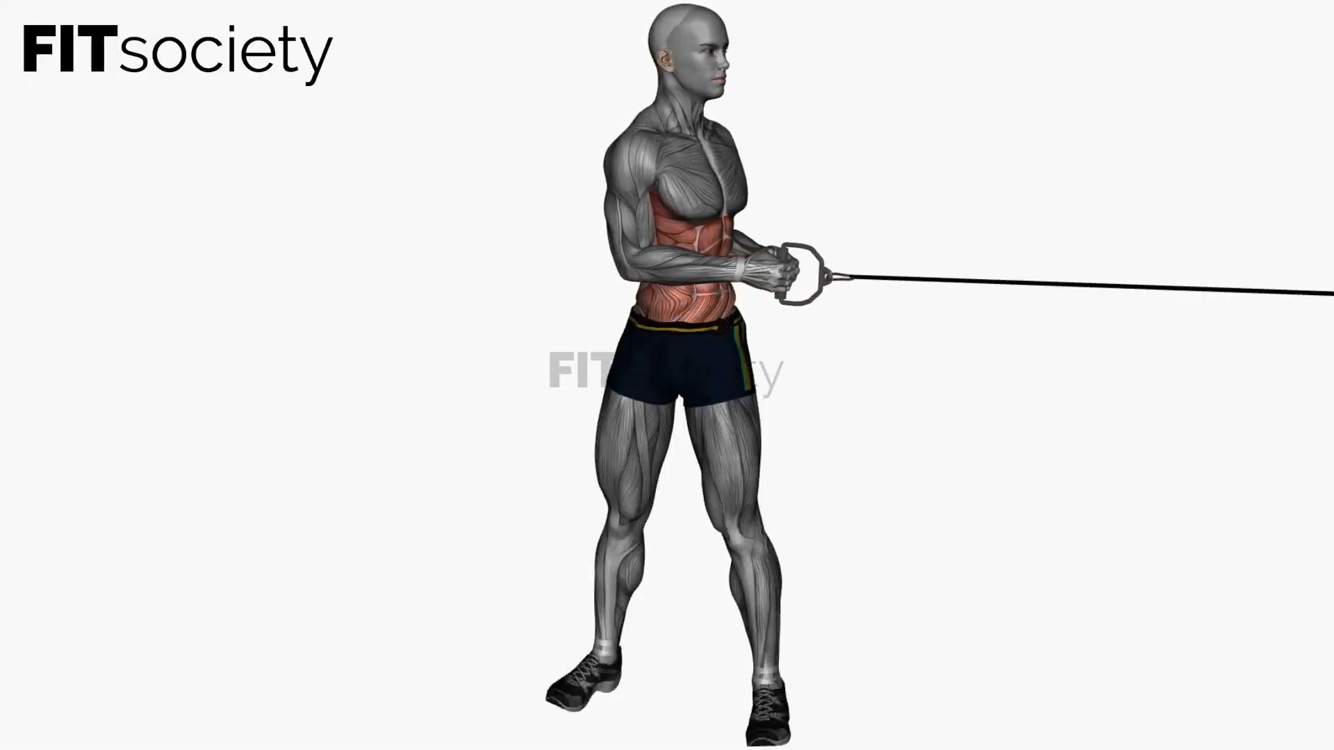 Standing Cable Oblique Twist