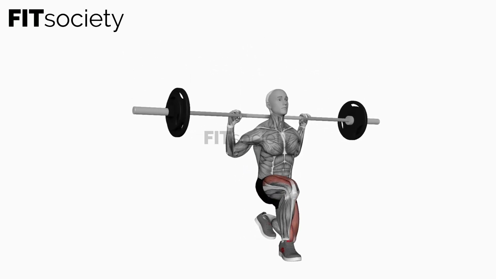 Barbell Pause Lunges